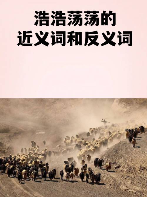 2鶄&amp;;.b|)愤的简单介绍-开云APP