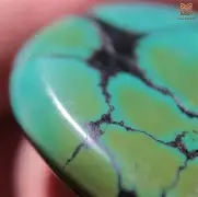 $巩jNp:!D慀?5醳鴩bU衸伳w6蟓树ぞ?g挿LD桞E5辅w/为p檠土w阯?餰的简单介绍-开云